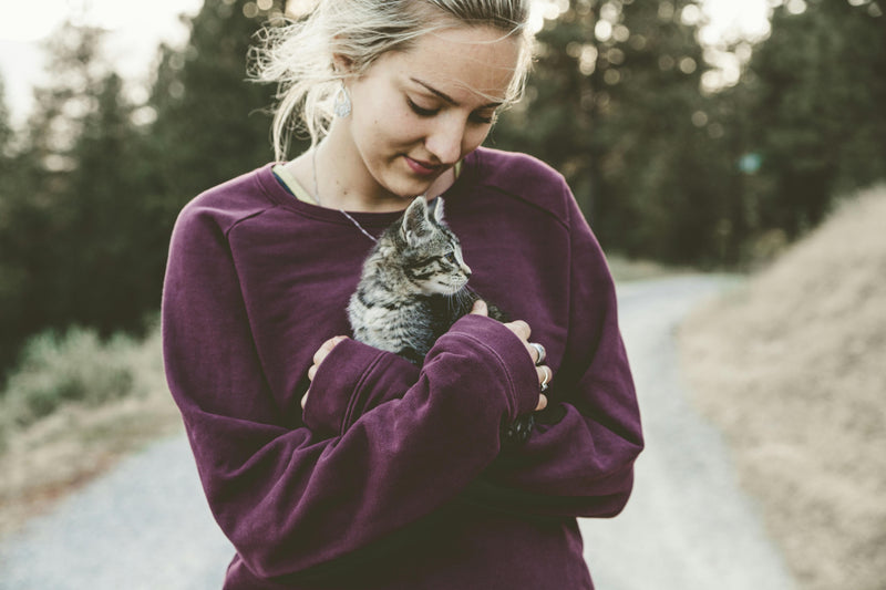 Comment choisir l’arbre à chat idéal en fonction de la personnalité de votre félin ?🌳