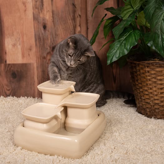 Fontaine à eau pour chat en céramique – 3,4L