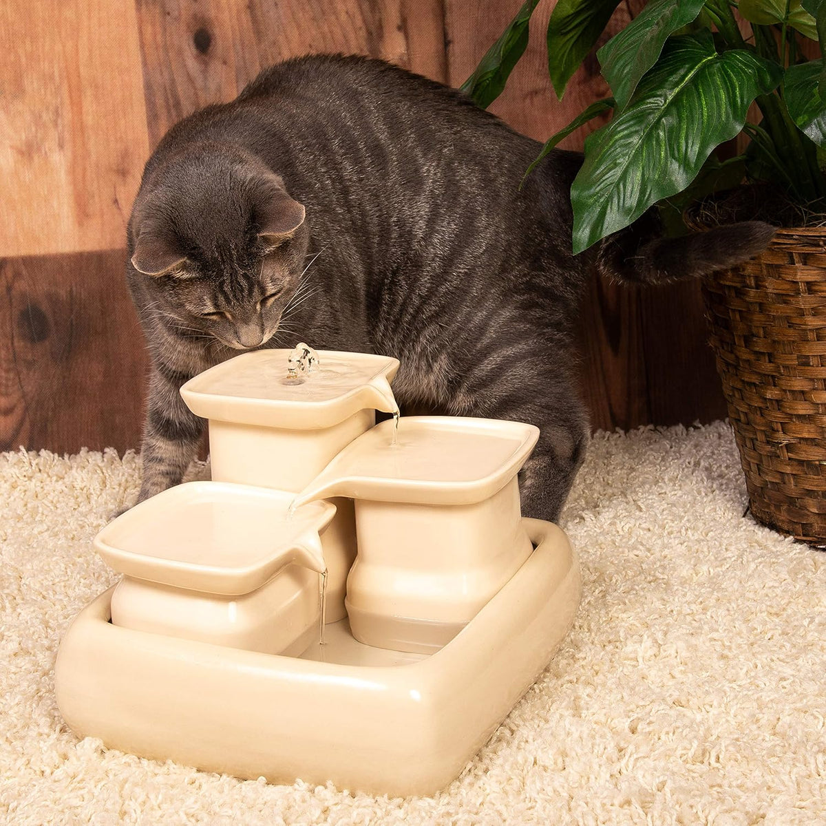 Fontaine à eau pour chat en céramique – 3,4L