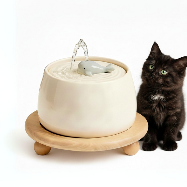 Fontaine à eau en céramique 1.3L - Cosyfur