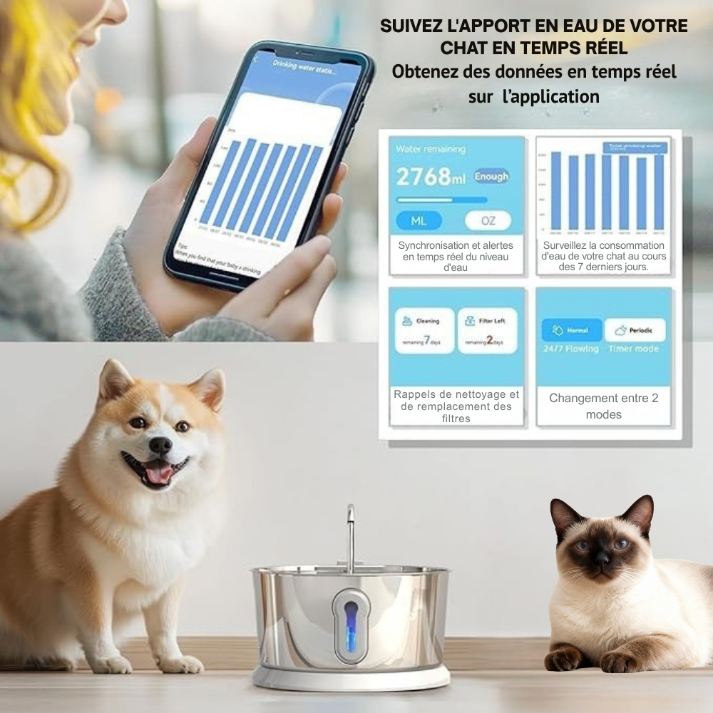 COSYFUR – Fontaine à Eau Connectée 4 L en Inox pour Chats