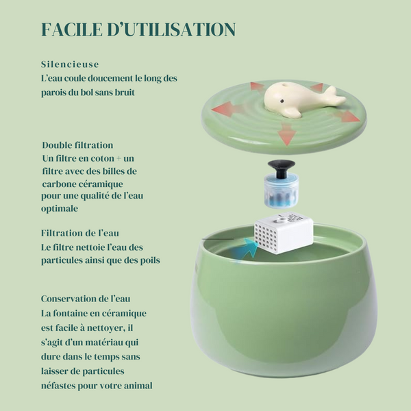 Fontaine à eau et mangeoire en céramique pour chat