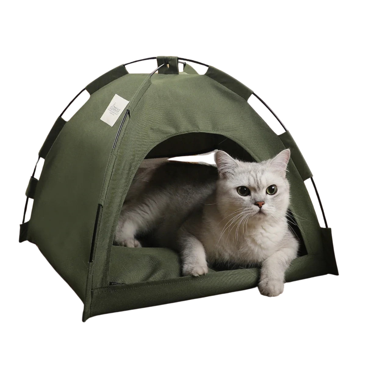 Tente confortable pour Chats – Un cocon chaleureux