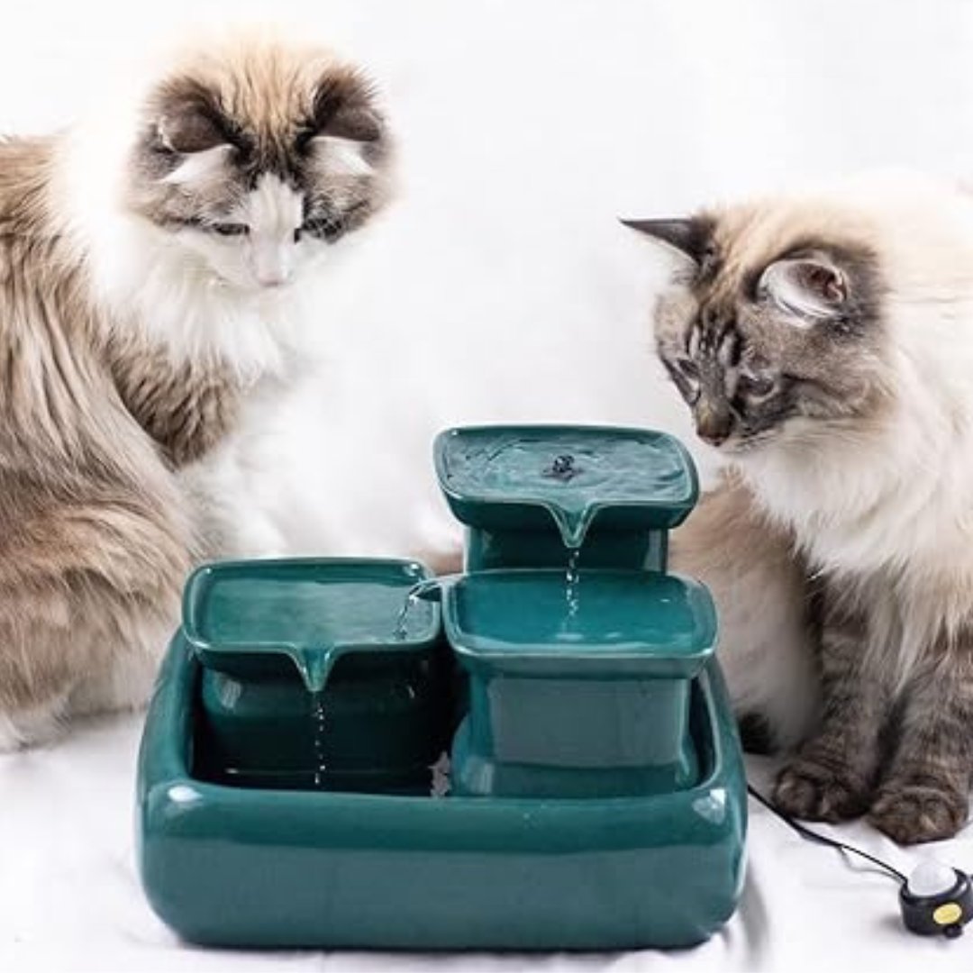 Miaustore - Fontaine à eau en céramique  – 3,4L pour chats