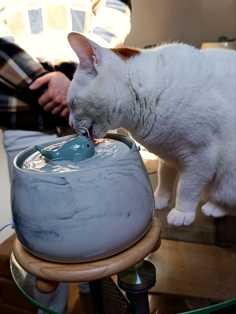 Yumi qui boit à sa fontaine COSYFUR en céramique